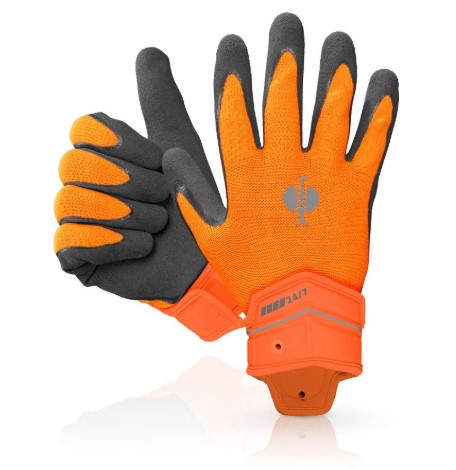 Hauptprodukt, versandkostenfrei mit Hervorhebung